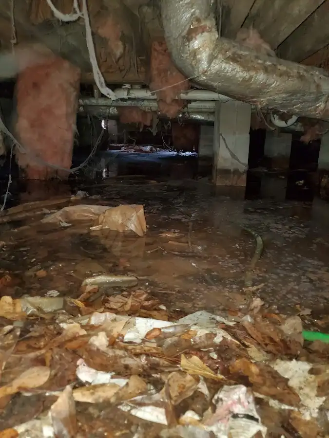 Crawl space flood assessment for Leak Detection & Repair in Makakilo
